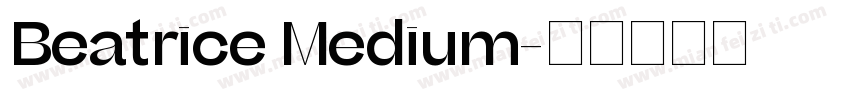 Beatrice Medium字体转换